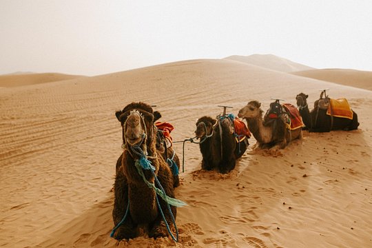 Tour image 5
