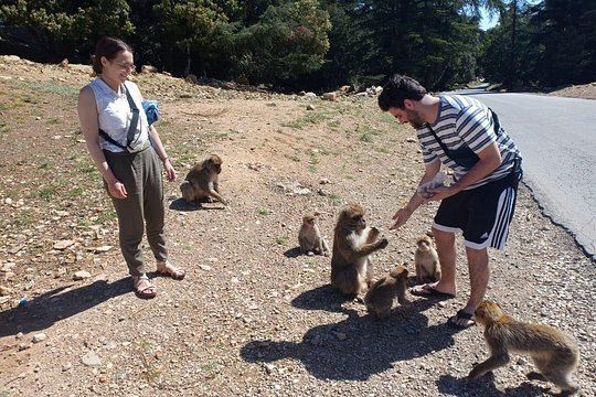 Tour image 2