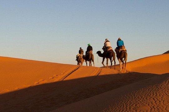 Tour image 4