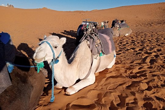 Tour image 5