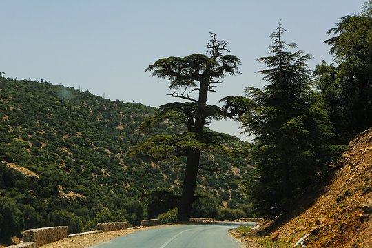 Tour image 12