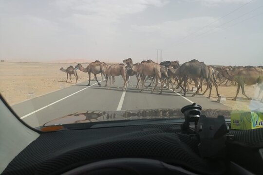 Tour image 6