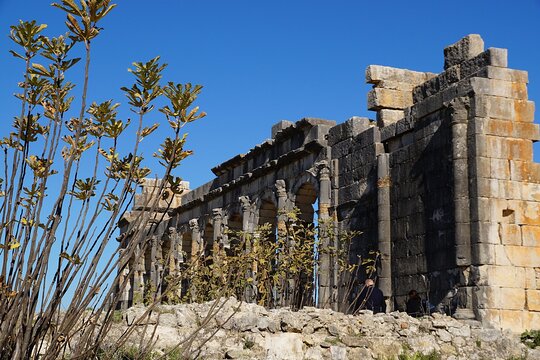 Tour image 2