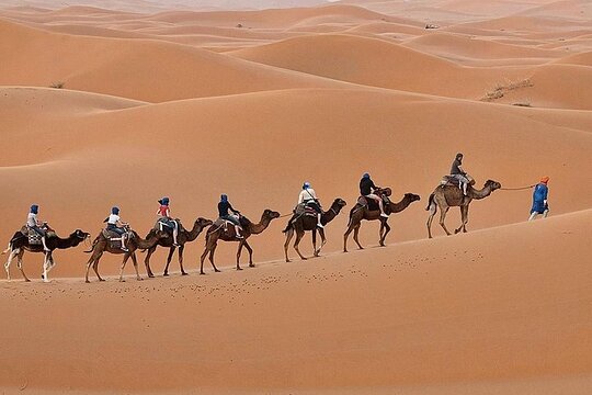 Tour image 5