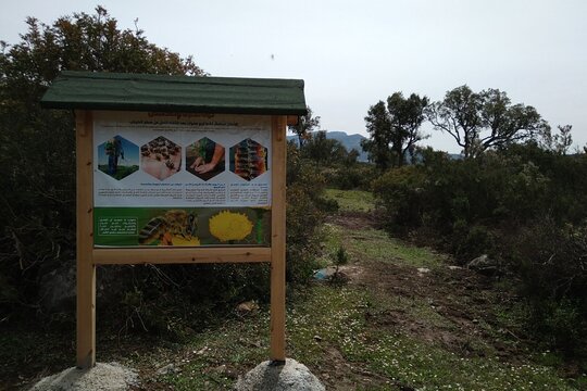 Tour image 6